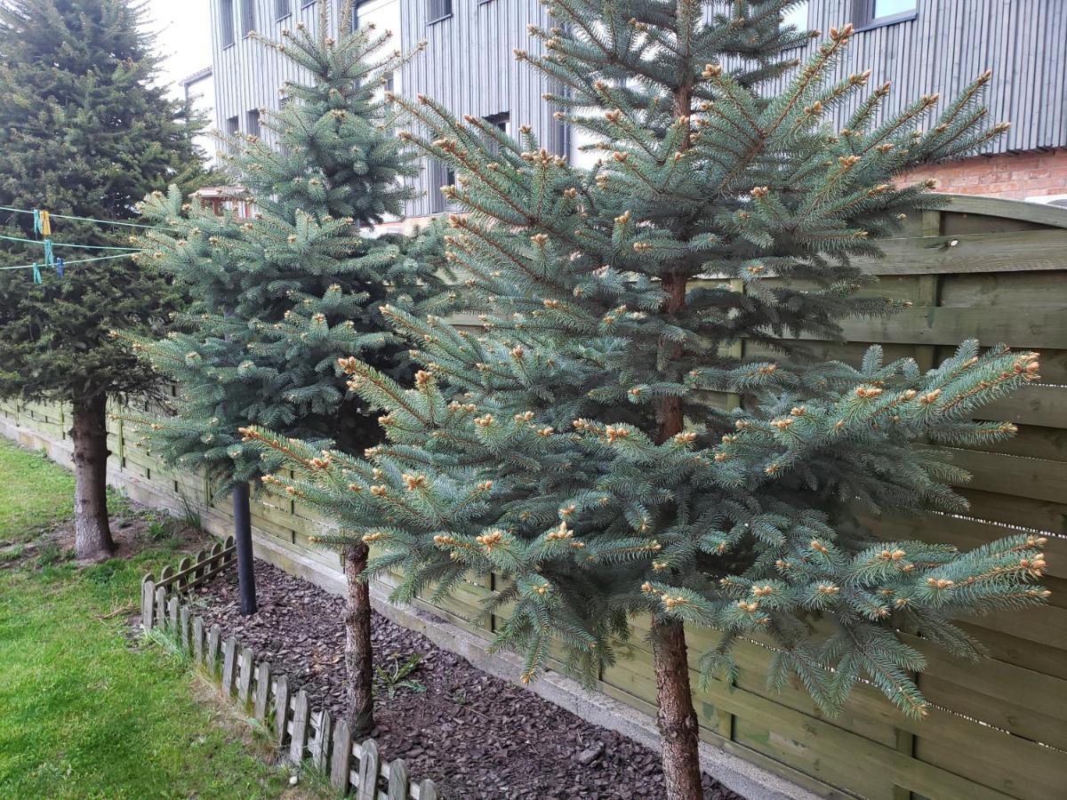 Apartament Aga13 Міколайкі Екстер'єр фото